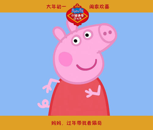 UserProfile:中专学历可以报考哪些资格证书